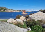 SUP-padling for jenter fra Kjerringvik til Marthaholmen