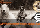 Aversjonsdressur 18.august