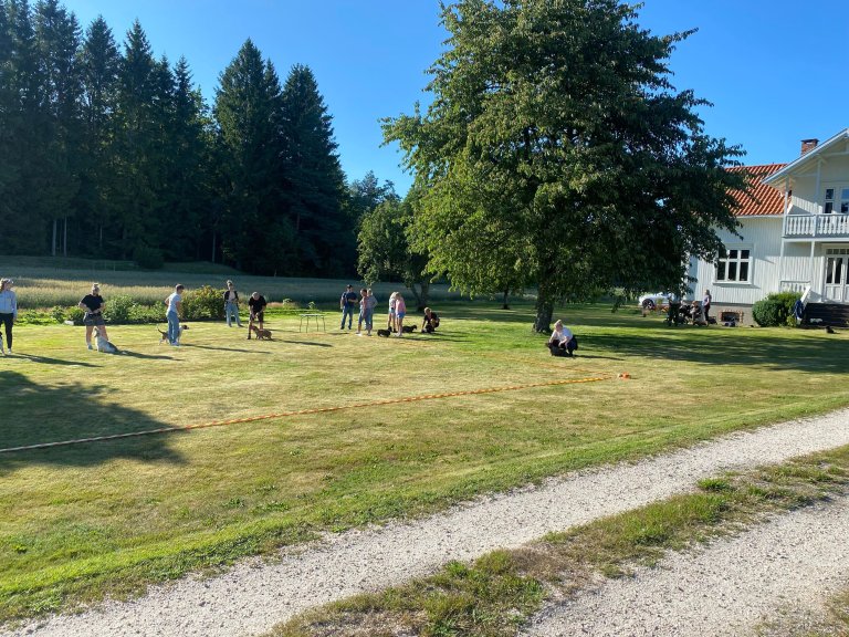 Ringtrening på Idylliske Vittersø