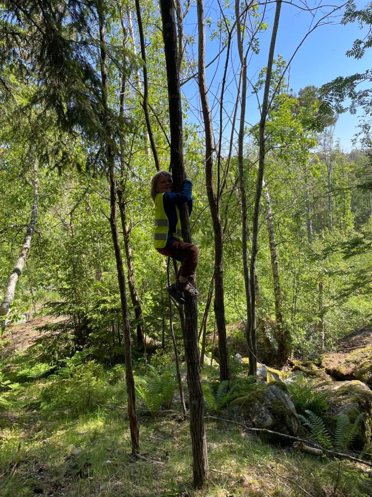 Klatremus. Godt å få utfolde seg i vakre omgivelser.