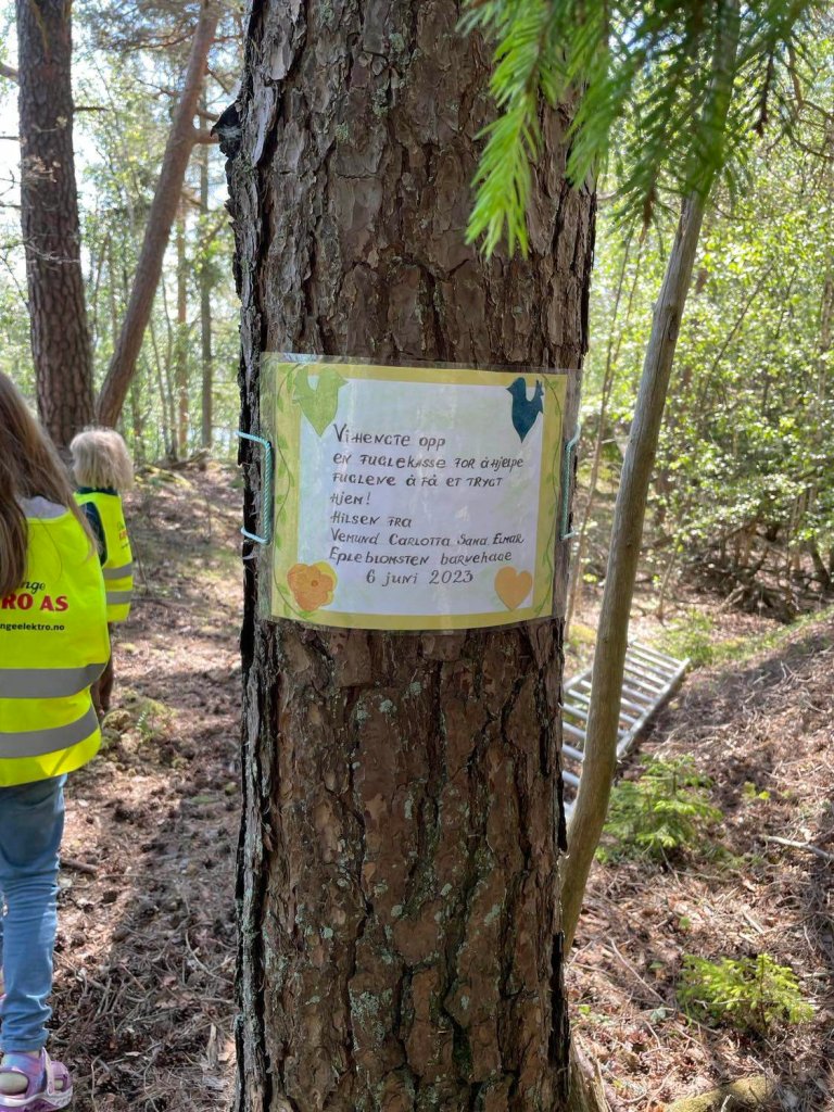 Selvfølgelig har ungene fått navnene sine på stammen der kassa er satt opp.