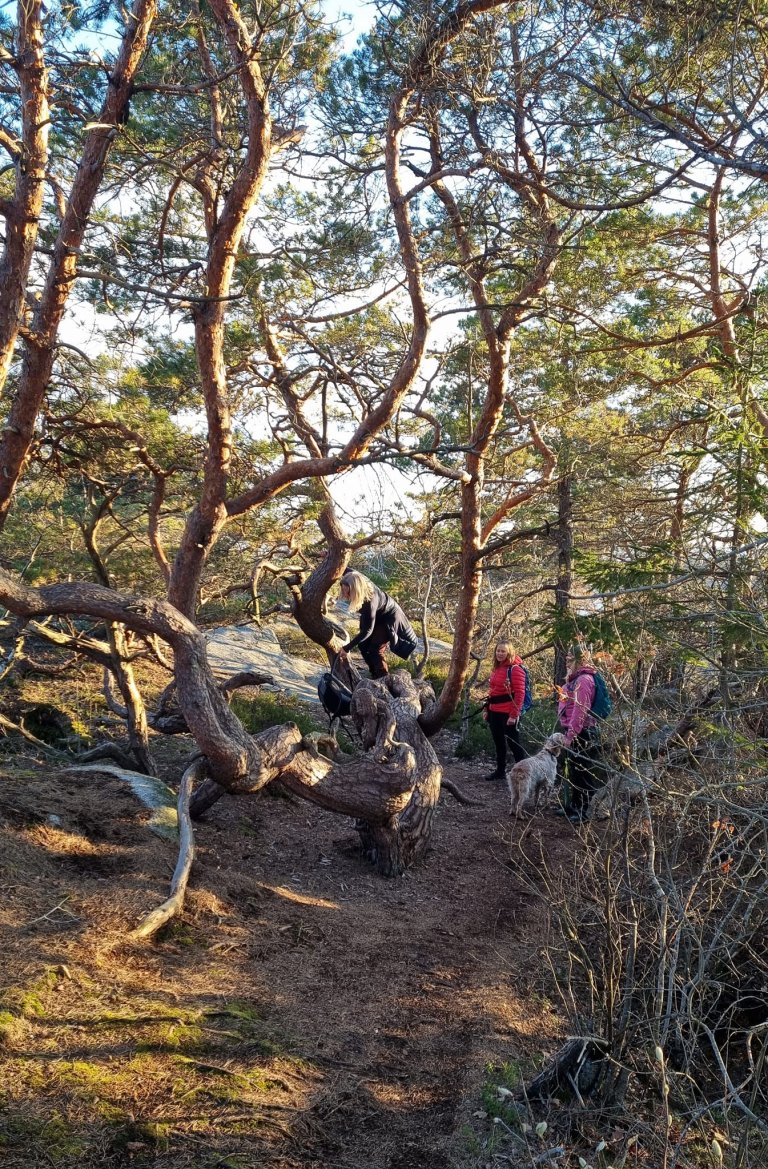 kjerringtur13.jpg