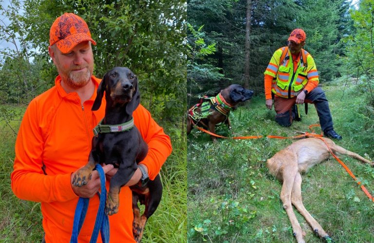 9. mai kommer fylkesinstruktør ettersøk Rune Borgersen på besøk. Han vil snakke litt om trening av hund til den blir godkjent og trening etter den er godkjent. Han vil også snakke litt om lovverk, vise noen videoer fra egne ettersøk og snakke om den praktiske delen av ettersøk.  Dette blir et kveld jeg tror kan ha glede av å få med oss.