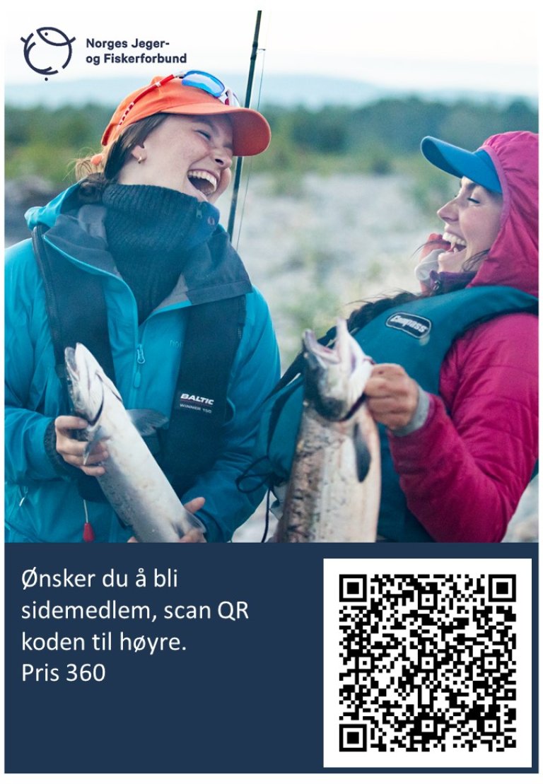 Bli sidemedlem