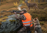 Introjakt på rådyr bukk