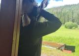 Hagle trening Jenter - 24-08-2026