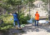 JSS deltar på NM Figurjakt på Maarud / Sør-Odal JFF  27 – 28 juni 2026