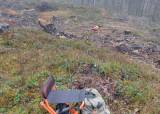 Introjakt Rådyr Lørdag 22.11.2025
