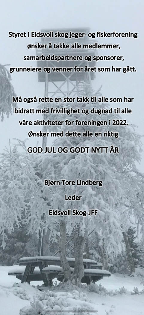 Utkast godjul 2022.png