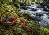 Egenberedskap i naturen/Hvordan finner vi rent vann og noe å spise i naturen?