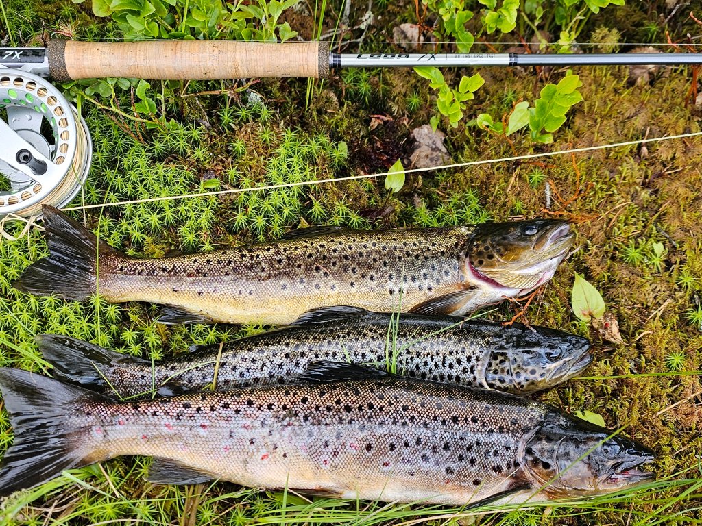 Lavterskel fisking - Gjerdrum JFF