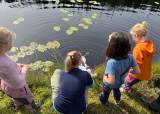 Fiskeutsett lørdag 13. juni 2026
