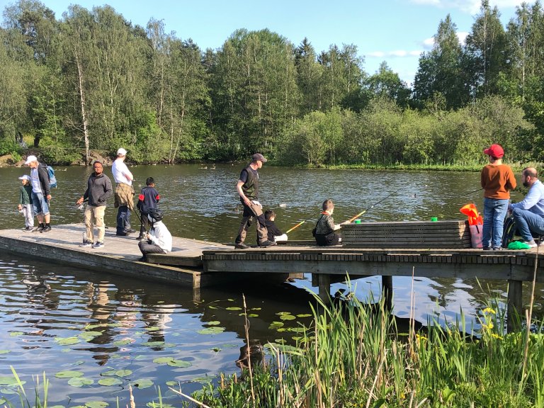 Brygga i Rådhusparken 2025