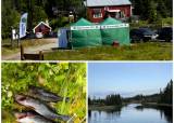 Råsjøfestivalen (Fiskesommer) / Klubbmesterskap 20.06.26