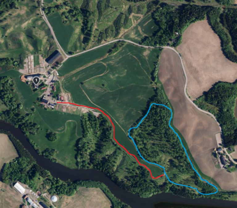 kart av Friområde Nesgutu