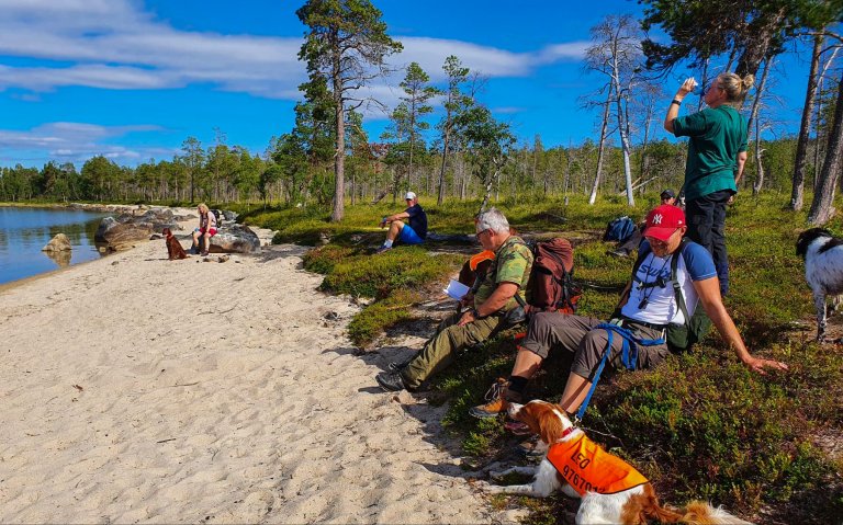 Mennesker og hunder hviler ved bredden av et vann. Foto