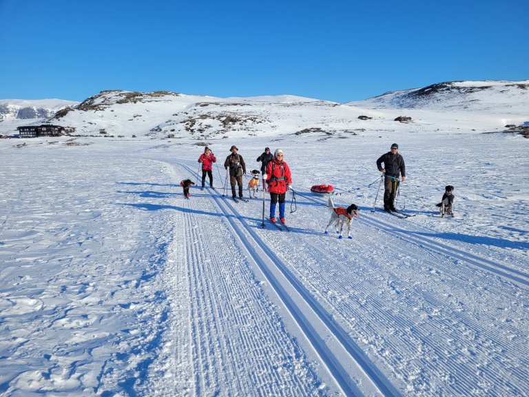 Vintersamling Bergsjøstølen 2022 (31).jpg