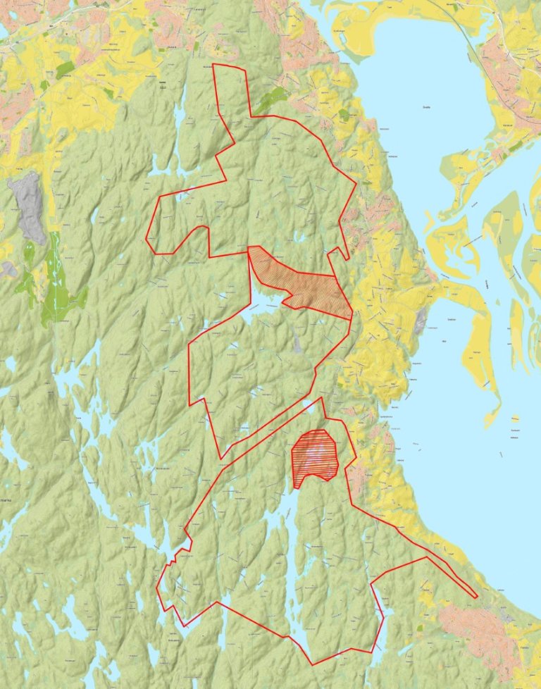 RJFF-Småvilt-og-Rådyr_2021 (Large).jpg