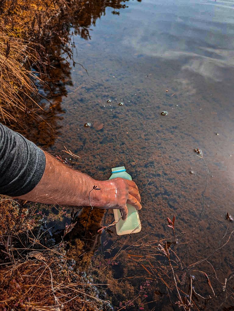 Mannsarm fyller en flaske for vannprøver i et tjern