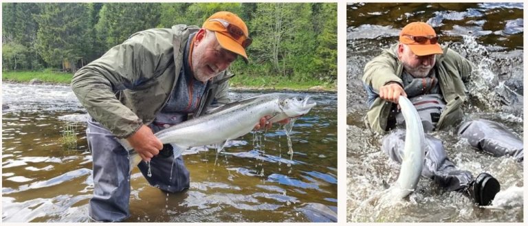 Doble bilder av steinar med laks i elva.jpg