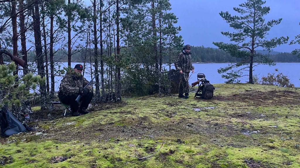 Introjakt Gås nr. 2!