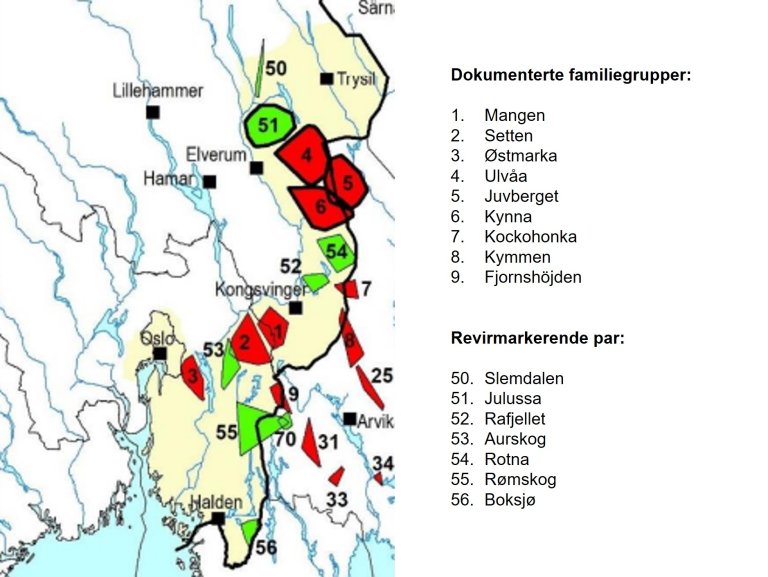 Ulv i Norge 2023.jpg