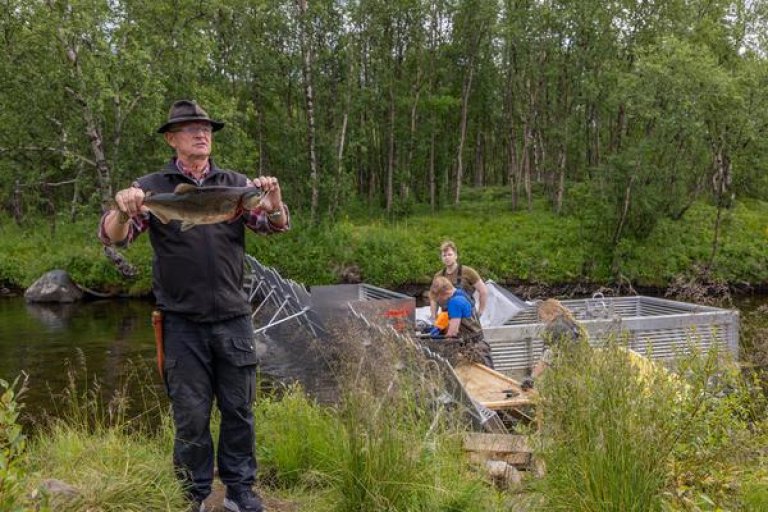 Øystein Hansen med pukkellaks Karpelva.jpg