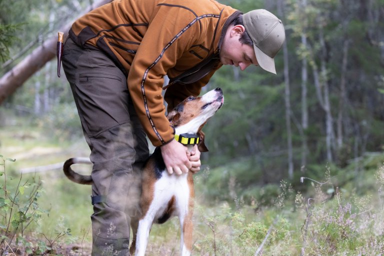 Harejakt-i-Nissedal-NJ-09911-Foto_Torgeir__W._Skancke.JPG