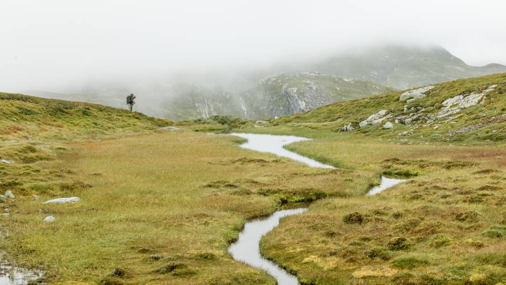 Endelig er det blitt et nasjonalt fokus på nedbygging av natur. Det gir håp for framtida.
