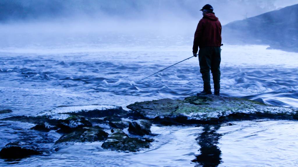 Miljødirektoratet har i dag stengt 33 elver for laksefiske