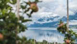 Hardangerfjorden