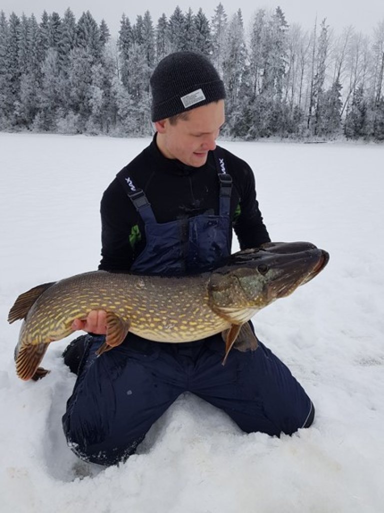 bilde av en mann som holder en gjedde i snøen