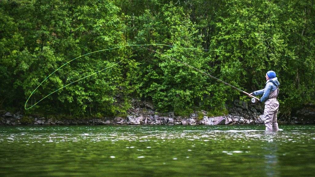 Lakselus truer både villaksen og laksefisket