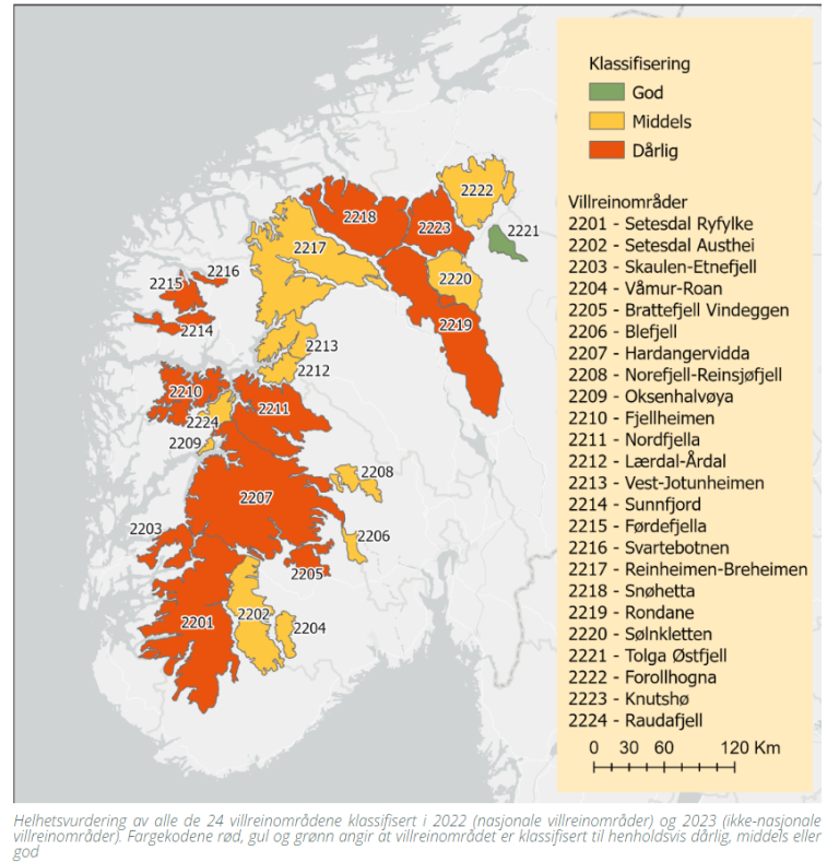 Villreinområder klassifisering NINA 2023.png