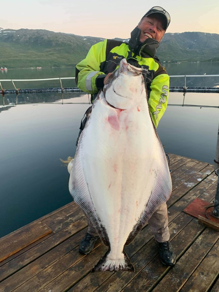 Øystein Cock Rønning og kveite Kvaløya Troms.jpeg