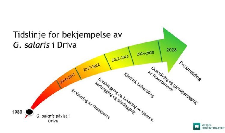 tidslinje-ny.JPG