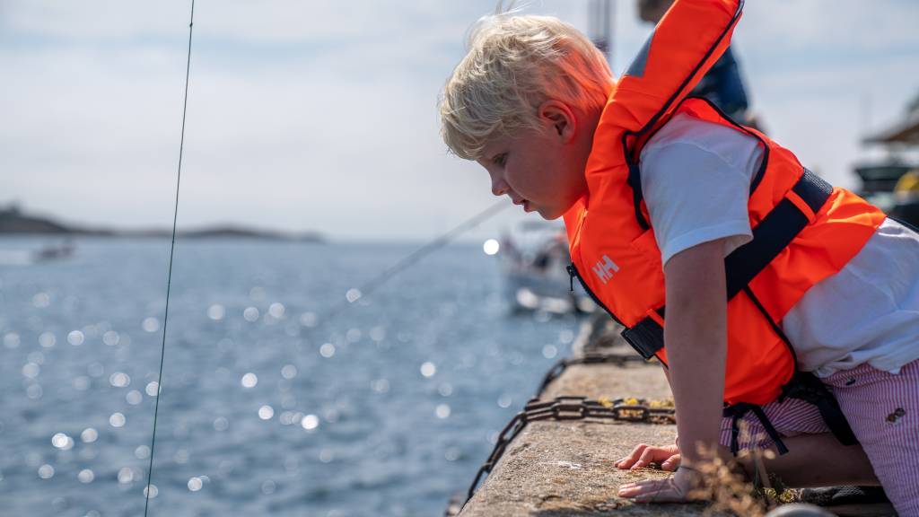 Regjeringen skal snart avgjøre om det skal innføres fiskeforbud i store områder av Oslofjorden.
