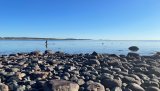 Oslofjorden er syk. Nå trommes det sammen til en bred allianse av natur- og friluftsorganisasjoner som ønsker å ta grep. NJFF er selvsagt med.