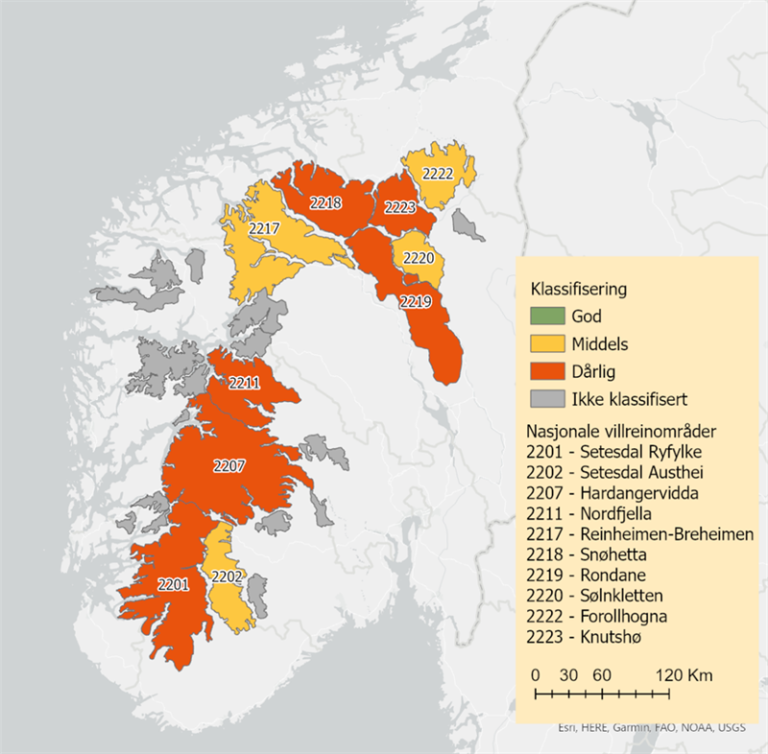 591Kvalitetsnorm-villrein.png