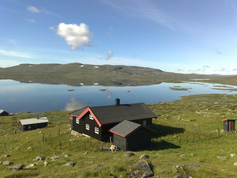 Skjerja14.7.11.jpg