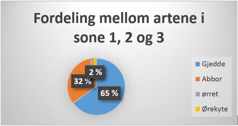 Fordeling av fisk.JPG