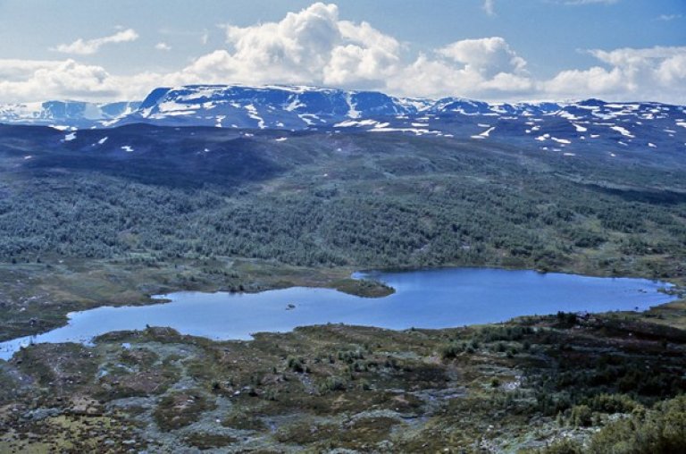 IH-Ynglesdalen Tuftetjørne-1978.jpg