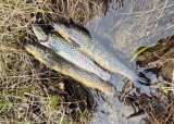 Fisketur for kvinner