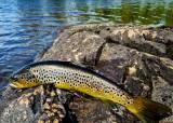 Fisketur til Hakkim på Romeriksåsen for kvinner