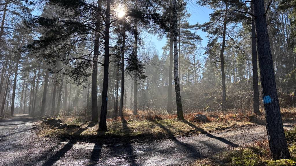 Egenberedskap på tur