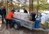 Utsetting av fisk 2025