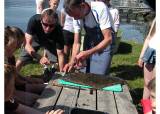 Garnfiske i Sognefjorden med 7. klassen