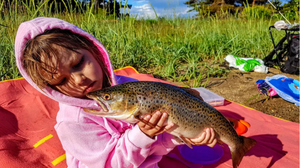 En flott sjøørret fanget på en sommer ettermiddag.