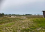 Elgtrening tirsdager - 08-07-2025