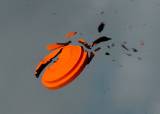 Hagletrening - 17-08-2026